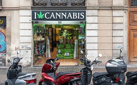 Why Choosing the Right Dispensary Matters More Than Ever