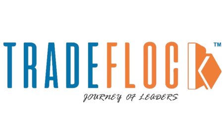 Movierulz: The Dark Side of Free Movie Streaming Platforms