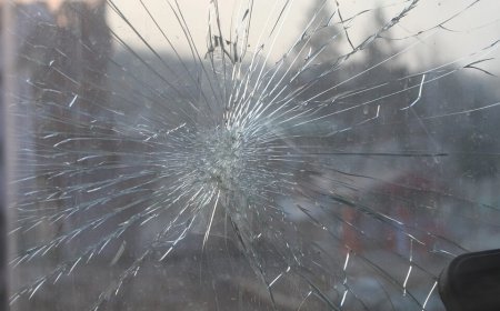 Quality Windscreen Repairs and Replacements That Keep You Moving