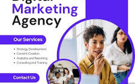 Monthly SEO Strategy Planning in Edinburgh for Local Business Growth