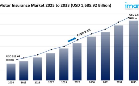 Motor Insurance Industry Growth, Share & Forecast 2025-2033