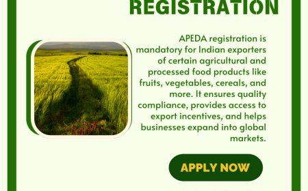Legal and Commercial Reasons to Get APEDA Registration