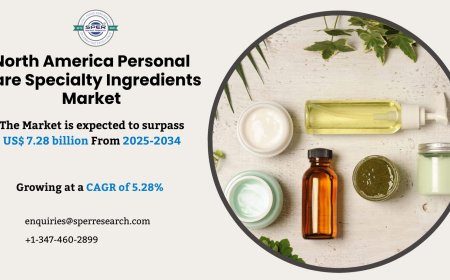 Rising Demand in North America Personal Care Specialty Ingredients Market: Key Insights