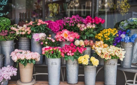 Present Your Beloved with a Single Pink Rose from Flowers Mart