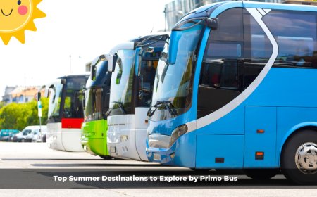Top Summer Destinations to Explore by Primo Bus