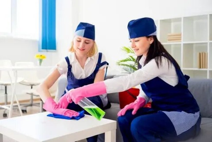 Avail expert sofa cleaning Dubai within reach by Urban Mop