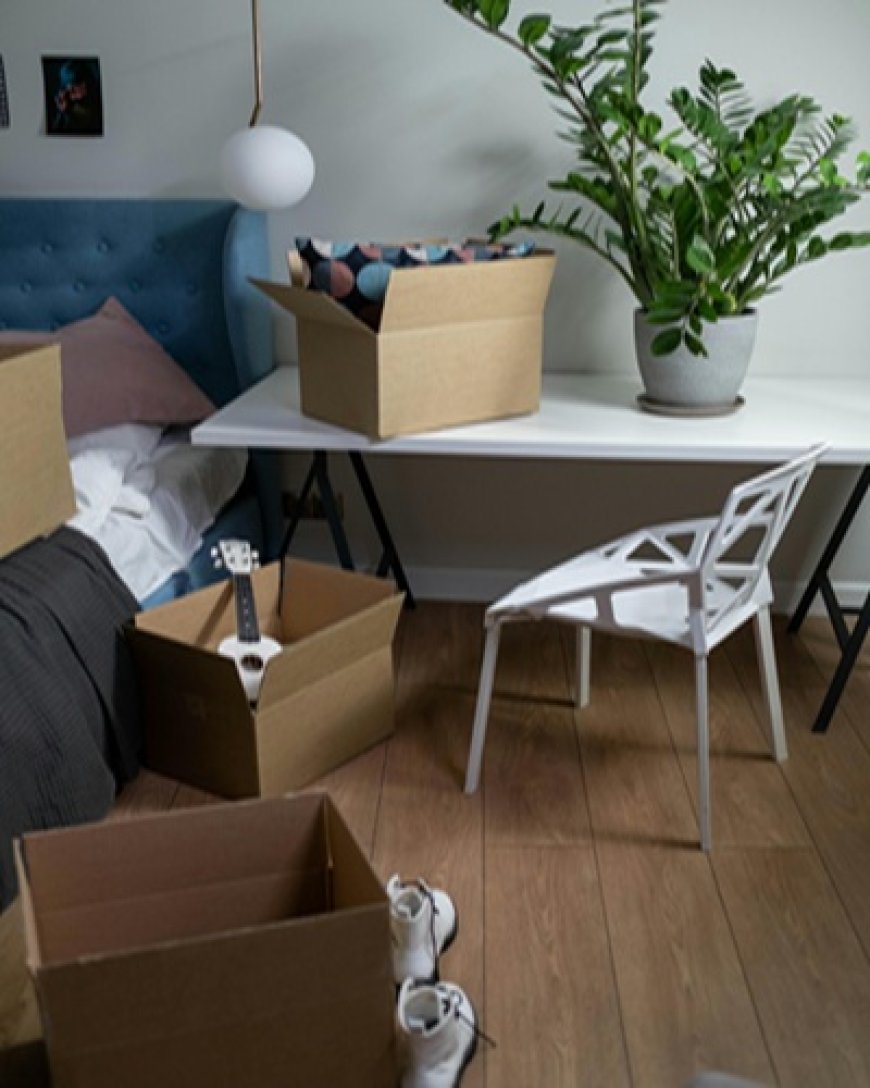 The Benefits of Using Professional Removalists for Home and Office Moves