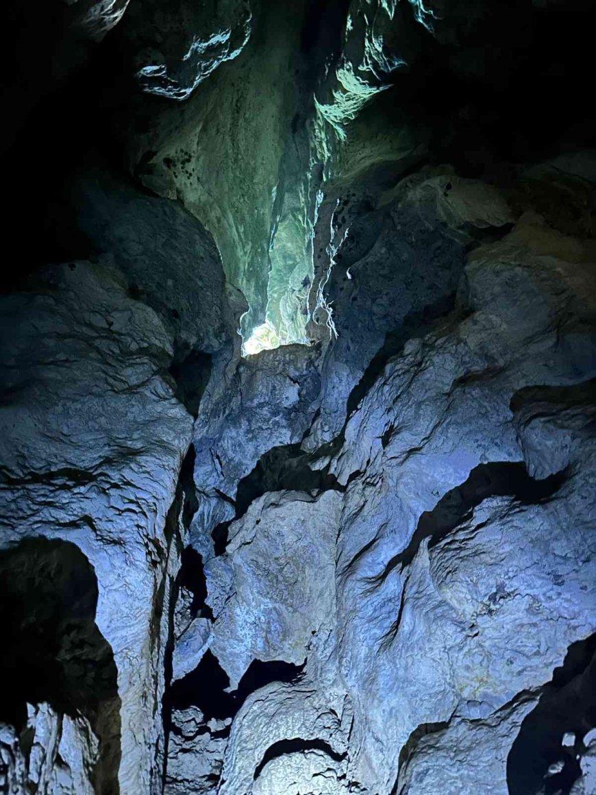 Catering: The Heart of Memorable Gatherings