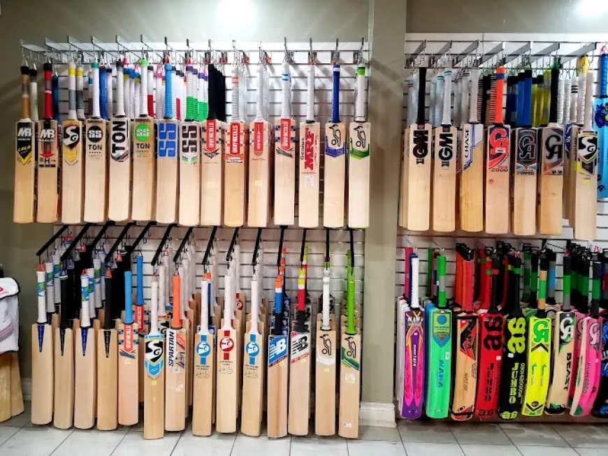 English Willow vs Kashmir Willow: Which Cricket Bat is Better for You?