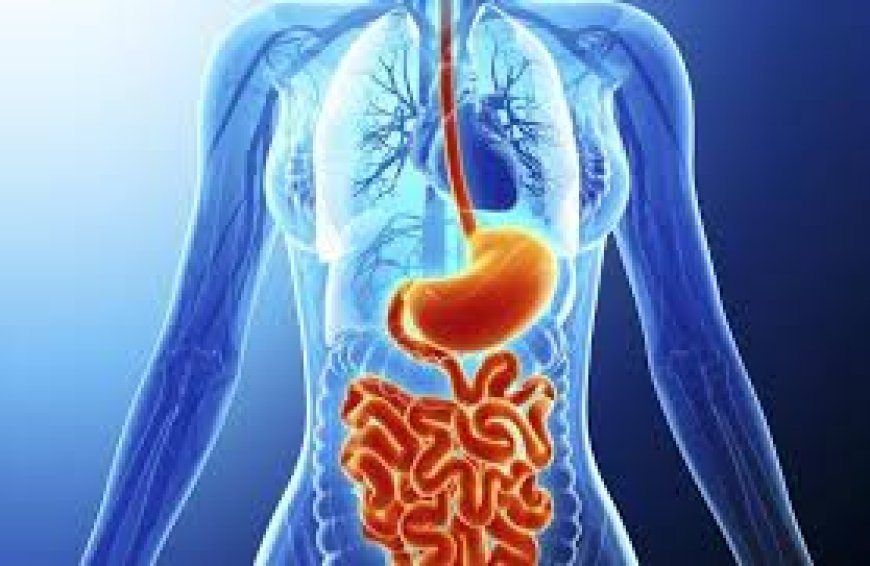 Top Gastroenterology Hospital in Navi Mumbai – Expert GI Treatment