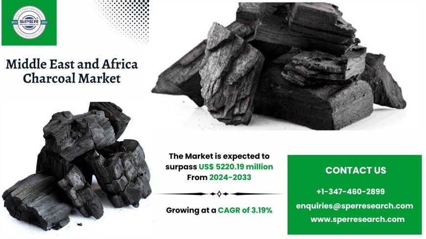 Middle East and Africa Charcoal Market Scope and Future Outlook to 2033