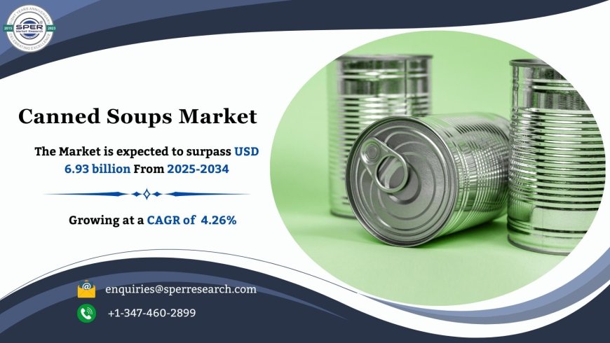 Rising Demand in Canned Soups Market: Key Insights