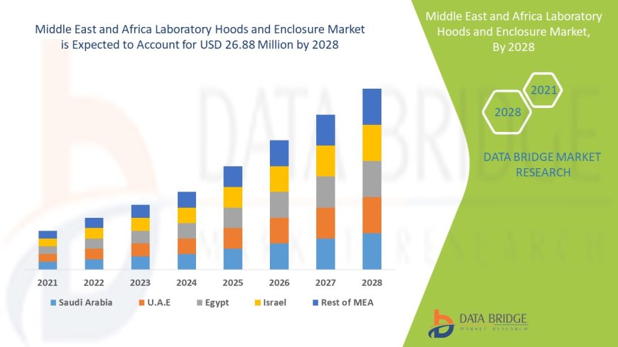 Surging Demand Drives Middle East and Africa Laboratory Hoods and Enclosure Market Growth