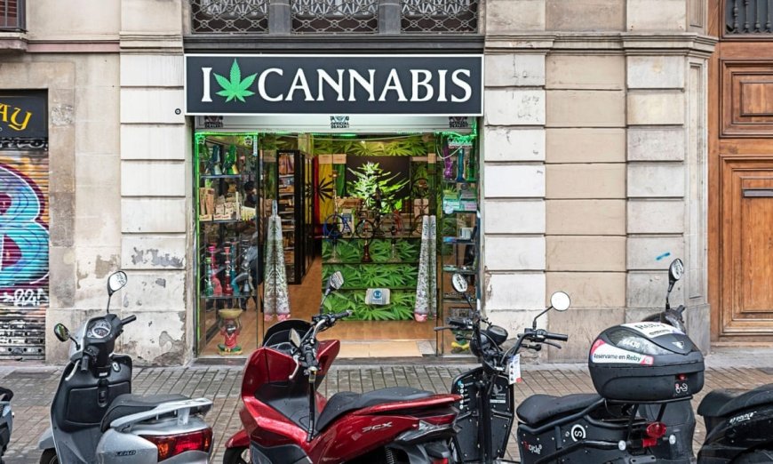 Why Choosing the Right Dispensary Matters More Than Ever
